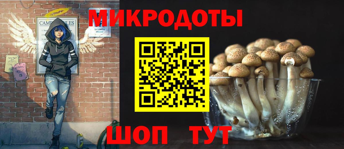 Галлюциногенные грибы Psilocybine cubensis Железногорск