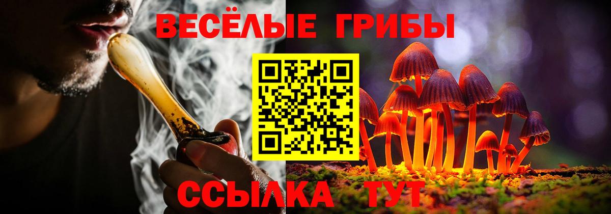 Железногорск  Галлюциногенные грибы мухоморы  Галлюциногенные грибы Psilocybine cubensis  Вход с VPN 